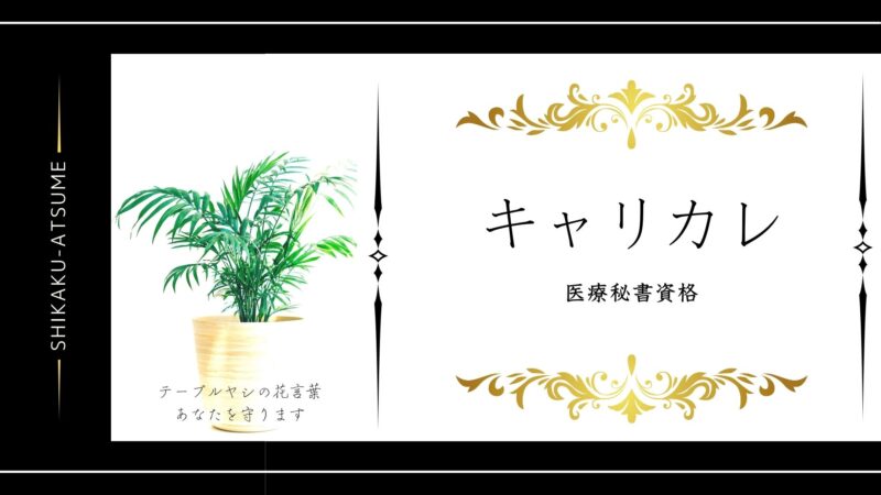 【キャリカレ|心理カウンセラー資格合格】最短で取れておすすめ
