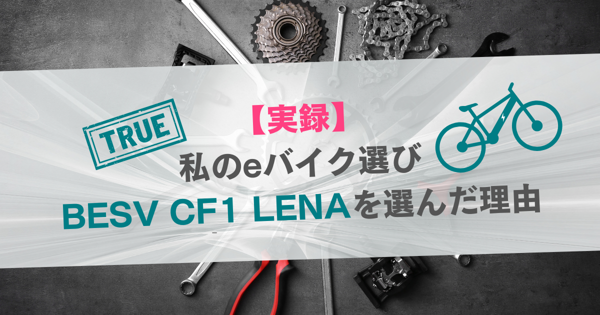 e-bike-choice-besv-cf1lena