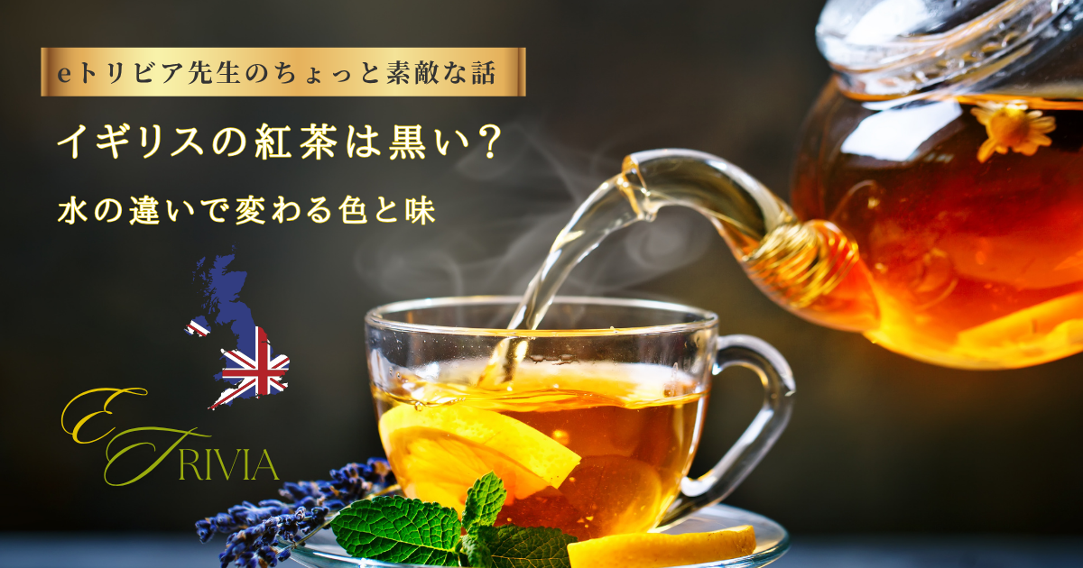 eトリビア先生のちょっと素敵な話-紅茶-