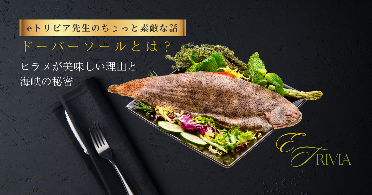 eトリビア先生の素敵な話｜ドーバーソールとは？ヒラメが美味しい理由と海峡の秘密